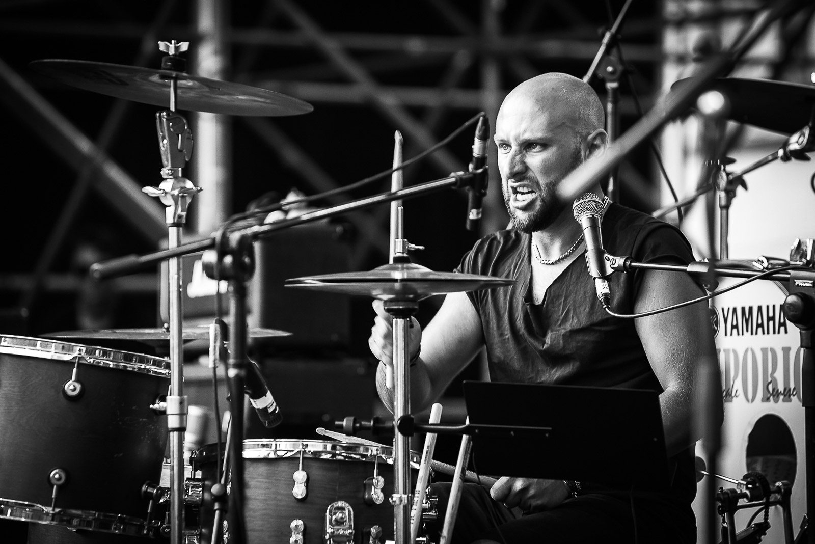 Seraphic eyes tortuga